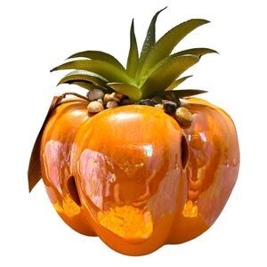 Home decor, hand Painted cinnamon, pumpkin scented acent.